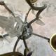 Louis XVI style chandelier