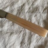 Vintage resin and stainless steel knives