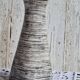 Graphic pitcher Salins service Bazas