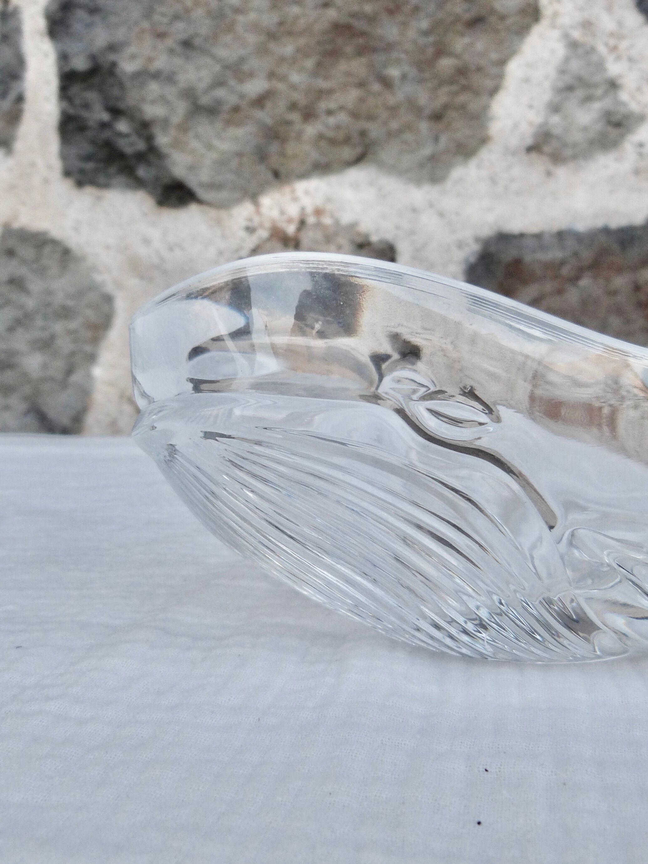 Empty whale pocket in Arques crystal