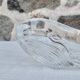 Vide poche baleine en cristal d'Arques