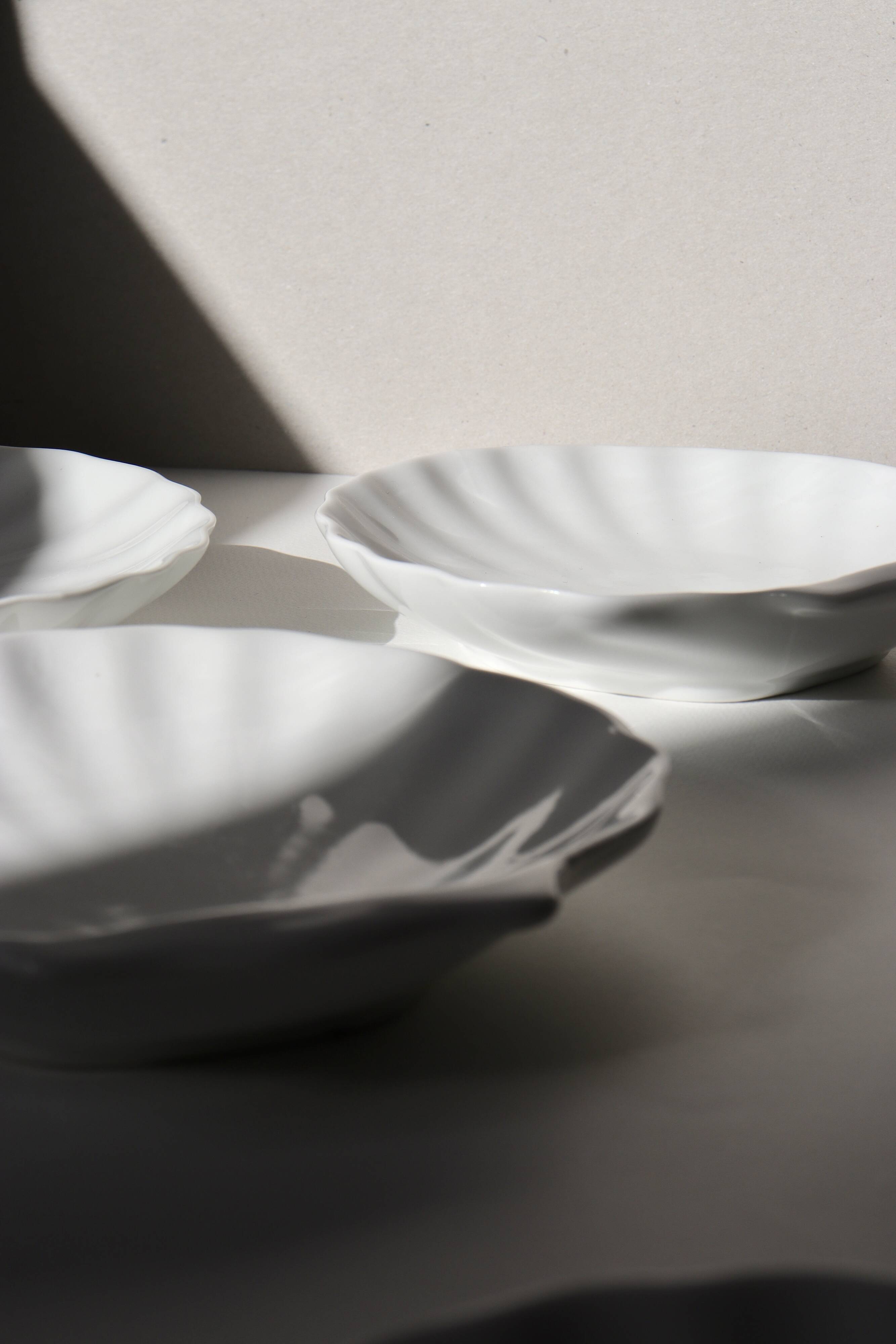 White shell cup