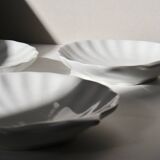 White shell cup