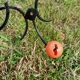 Retro wrought iron coat rack 💐