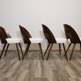 Dining Chairs by Antonin Suman, 1960s, Set of 4
