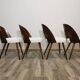 Dining Chairs by Antonin Suman, 1960s, Set of 4