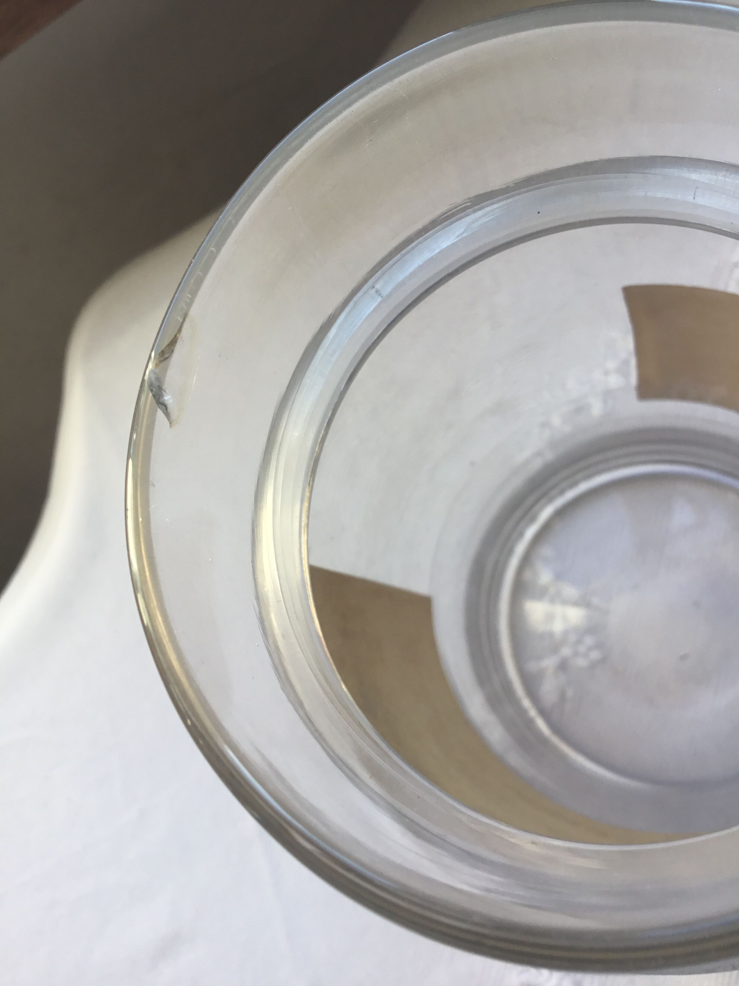 Centaurea apothecary bottle