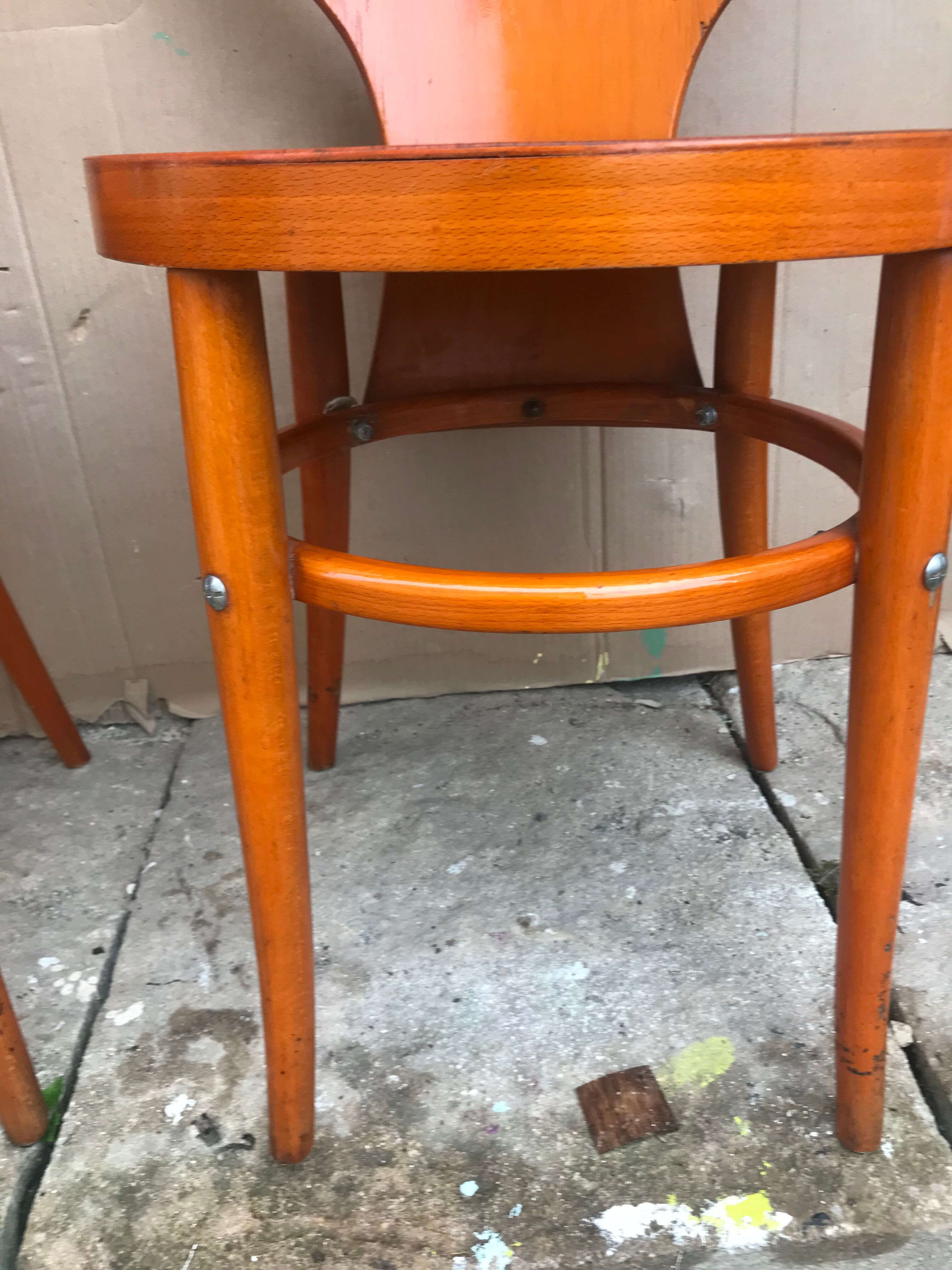 Baumann chairs " Seagull "