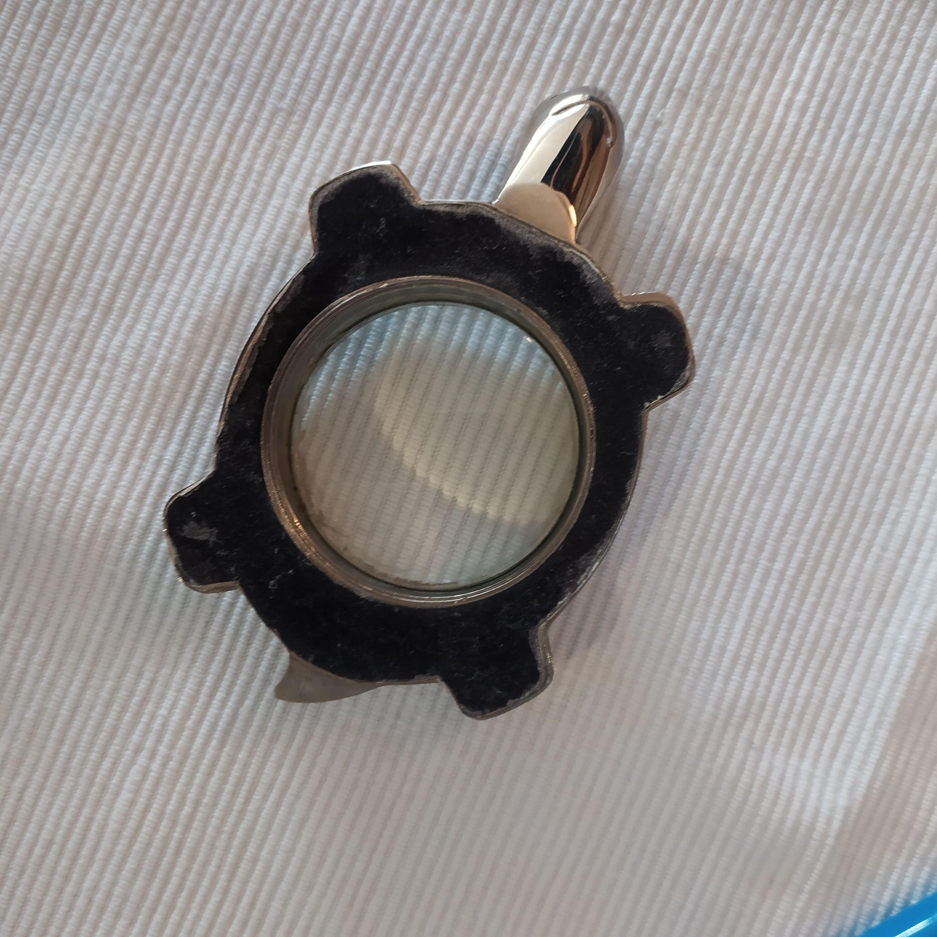 Clipboard turtle magnifying glass