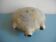 old toad gourd bottle stoneware decorative stoneware gourd bottle
