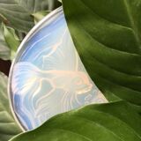 Bottle underside signed Verlys