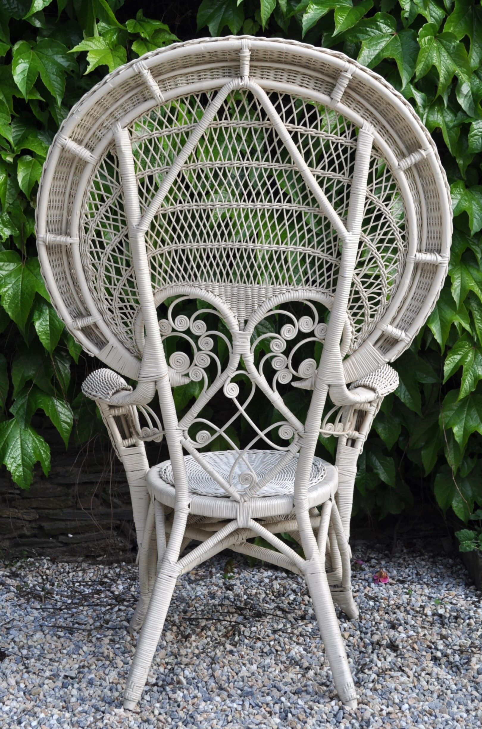 Peacock emmanuelle rattan armchair