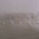 6 antique digestif glasses, floral pattern
