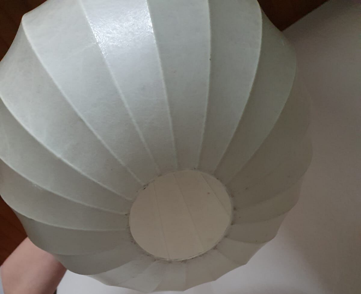 Cocoon hanging lamp 1960