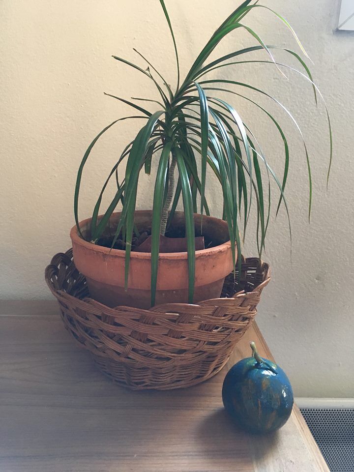 Basket woven Wicker 60 years