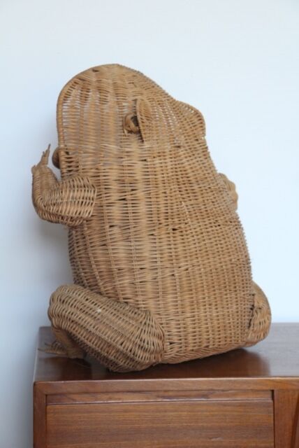 Olivier Cajan's Rattan Frog Magazine 1975