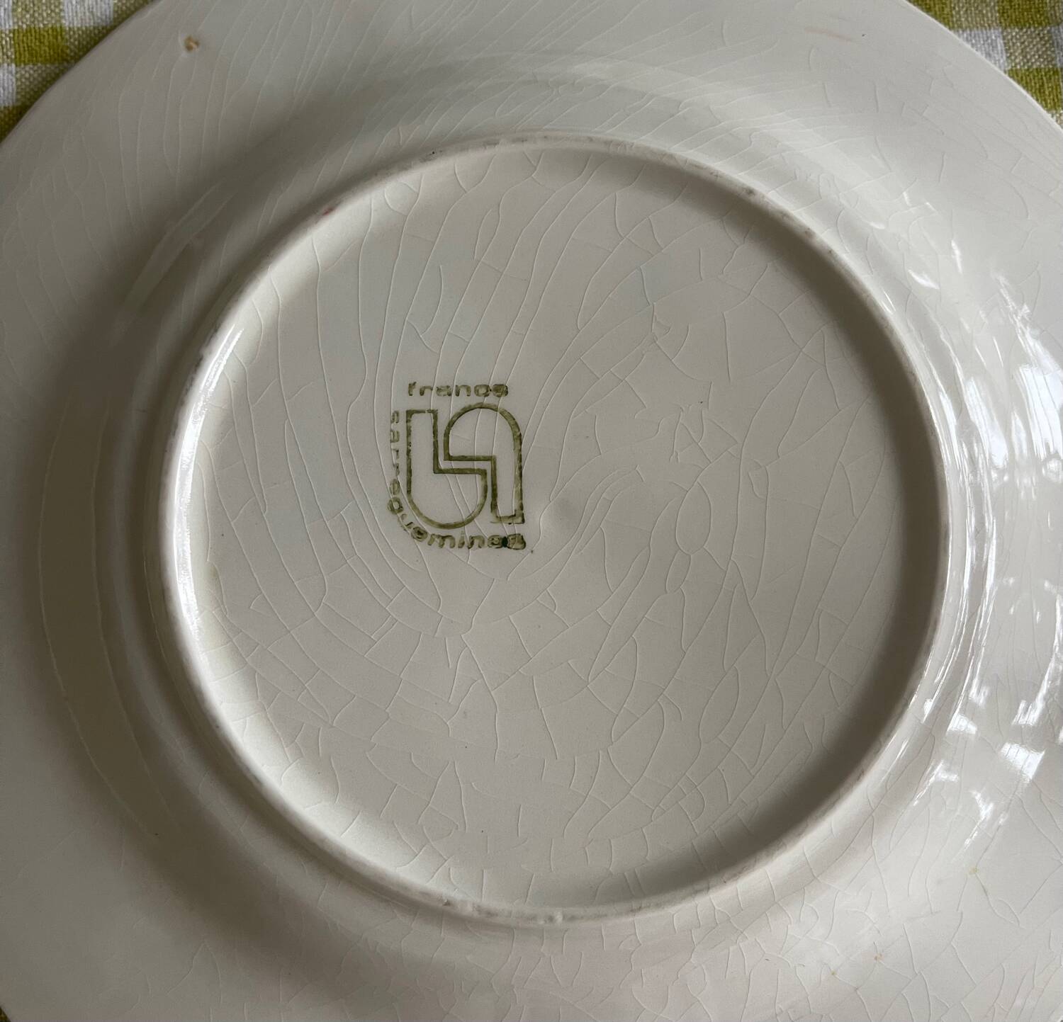 9 dessert plates and 1 barbotine dish from Sarreguemines