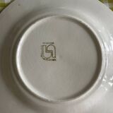 9 dessert plates and 1 barbotine dish from Sarreguemines