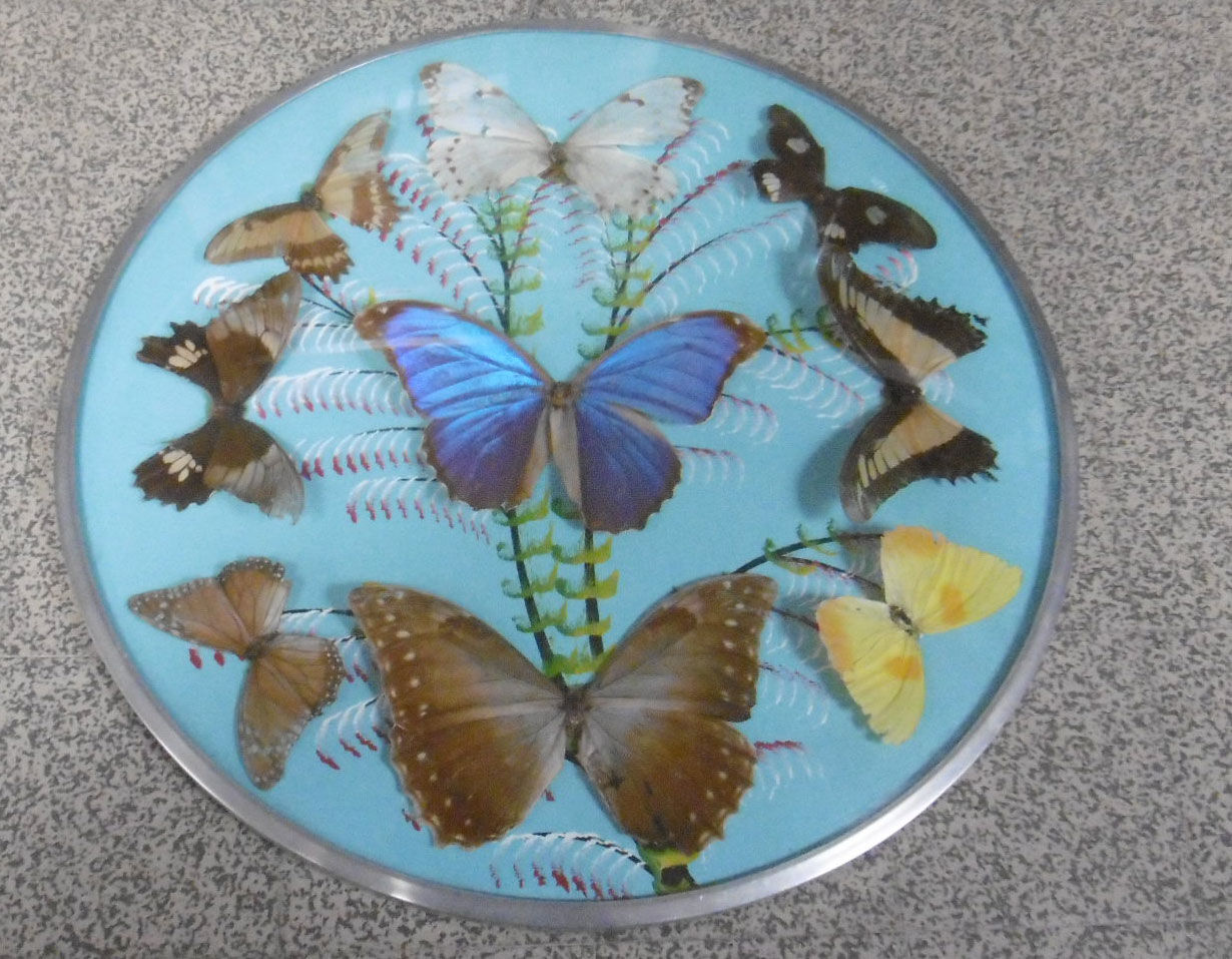 Vintage frame butterflies and silk threads - artefama - annees 50