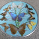 Vintage frame butterflies and silk threads - artefama - annees 50