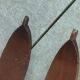 Pair of old skis in wood