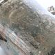 Seau à champagne | Argent plaqué  | Ancien
