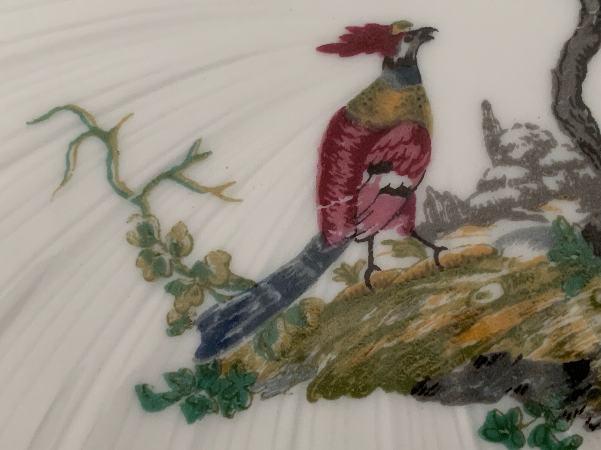 8 Bernardaud and Co. dessert plates signed Elbé, Limoges porcelain, decorated with birds