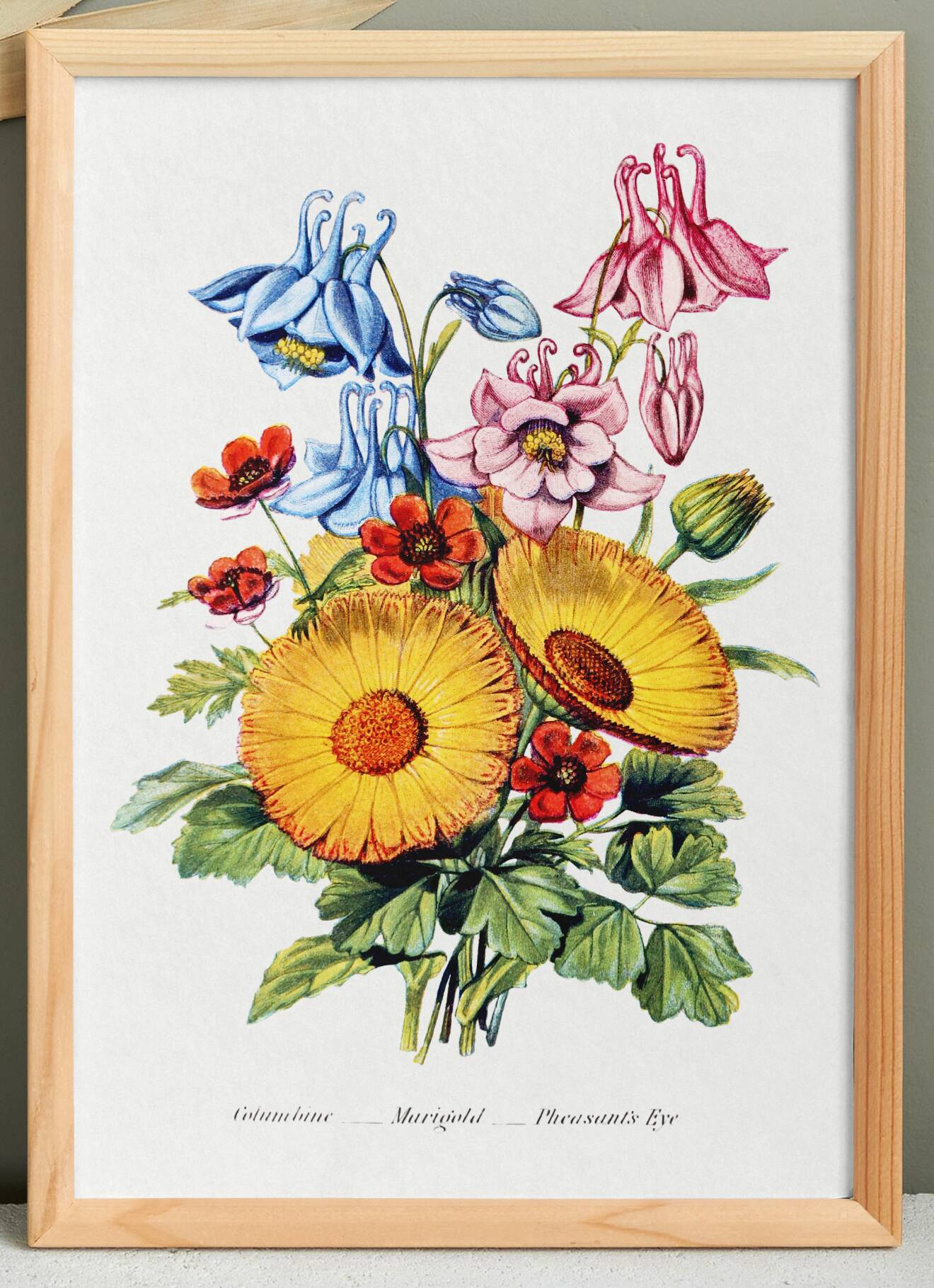 Poster about columbines, marigolds and adonis, based on a lithograph