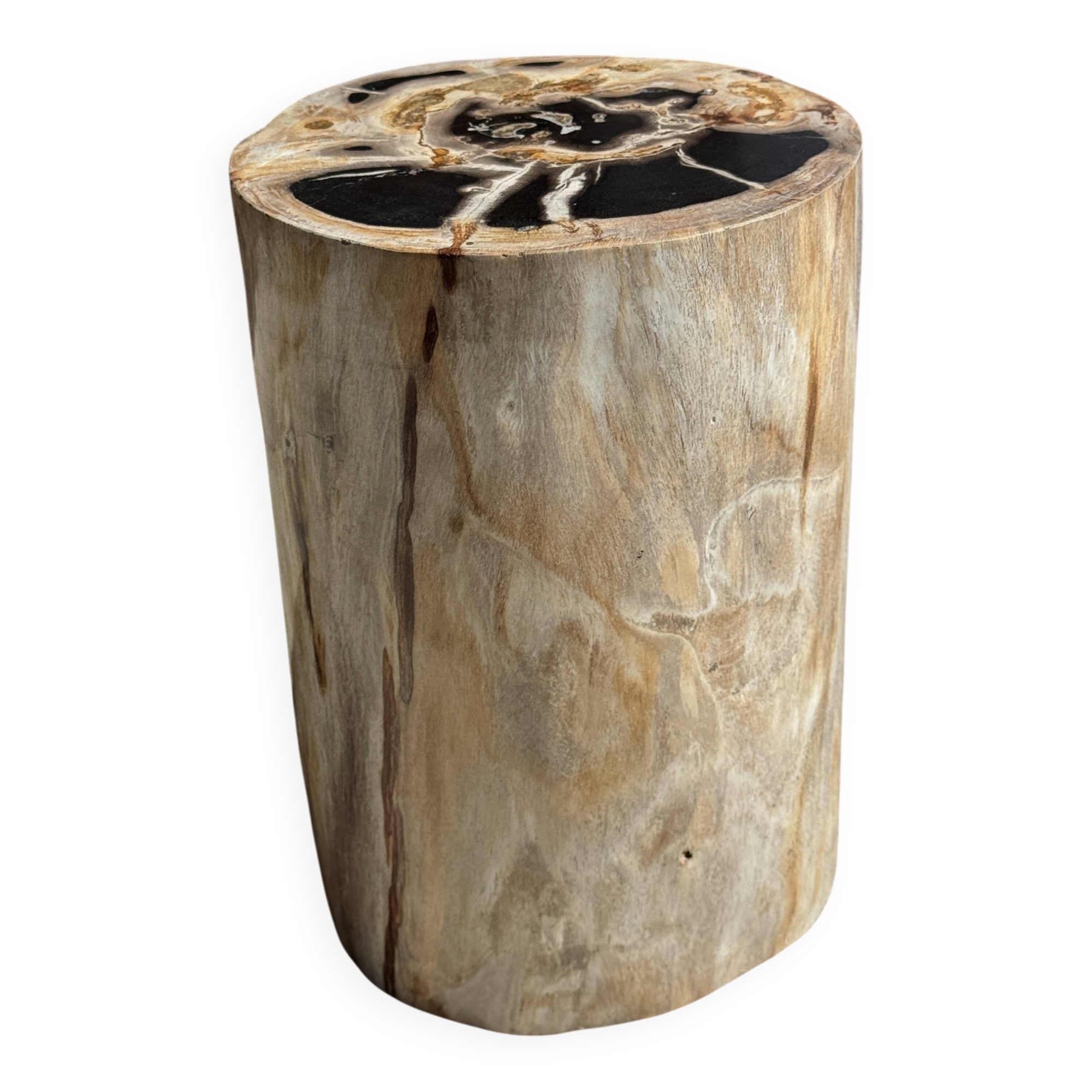 Multicoloured petrified wood side table H45 D24 - 3329
