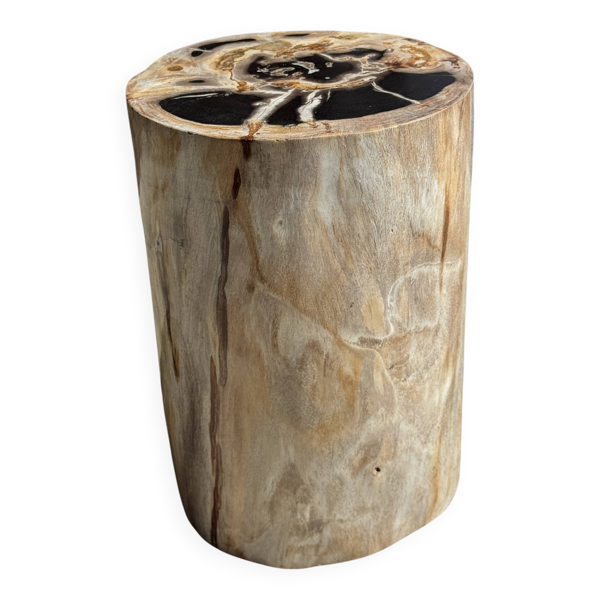Table d'appoint en bois pétrifié multicolore H45 D24 - 3329
