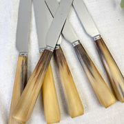 Lot de 6 couteaux de table vintage en corne