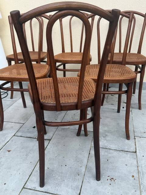 6 chaises thonet modèle 56 thonet