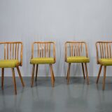 1960s Antonin Suman beech dining chairs, set of 4