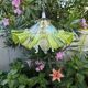 Double tulip light suspension - Transparent fluted glass at the edges.