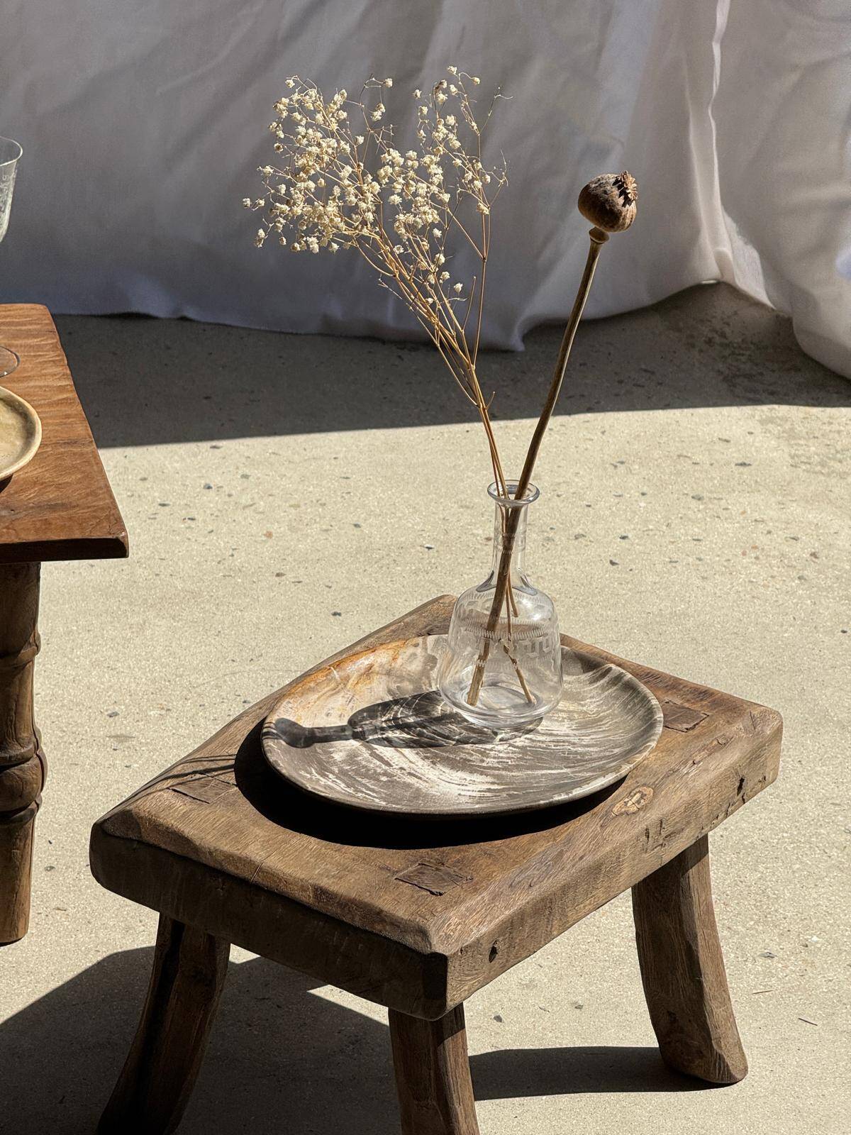 Petrified wood bowl or dish D27-23 -3322