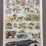 Lot de trois gravures aquarellées