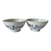 Duo vintage de bols de ferme sur piédouche bleu pâle décor floral