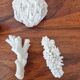 Lot of 5 corals