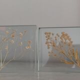 Lot of two glass frames