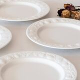 6 flat plates Quadrifoglio