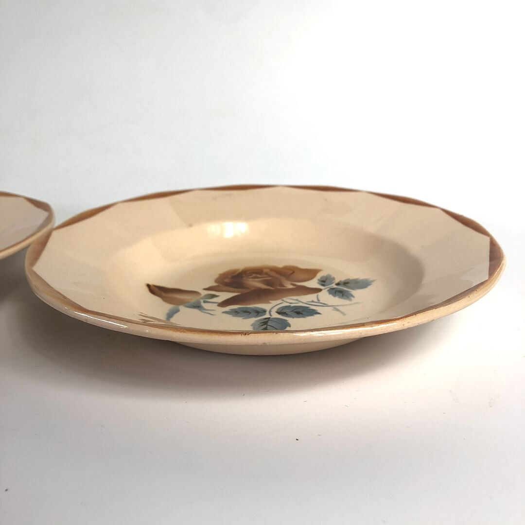 2 old hollow plates Digoin Sarreguemines