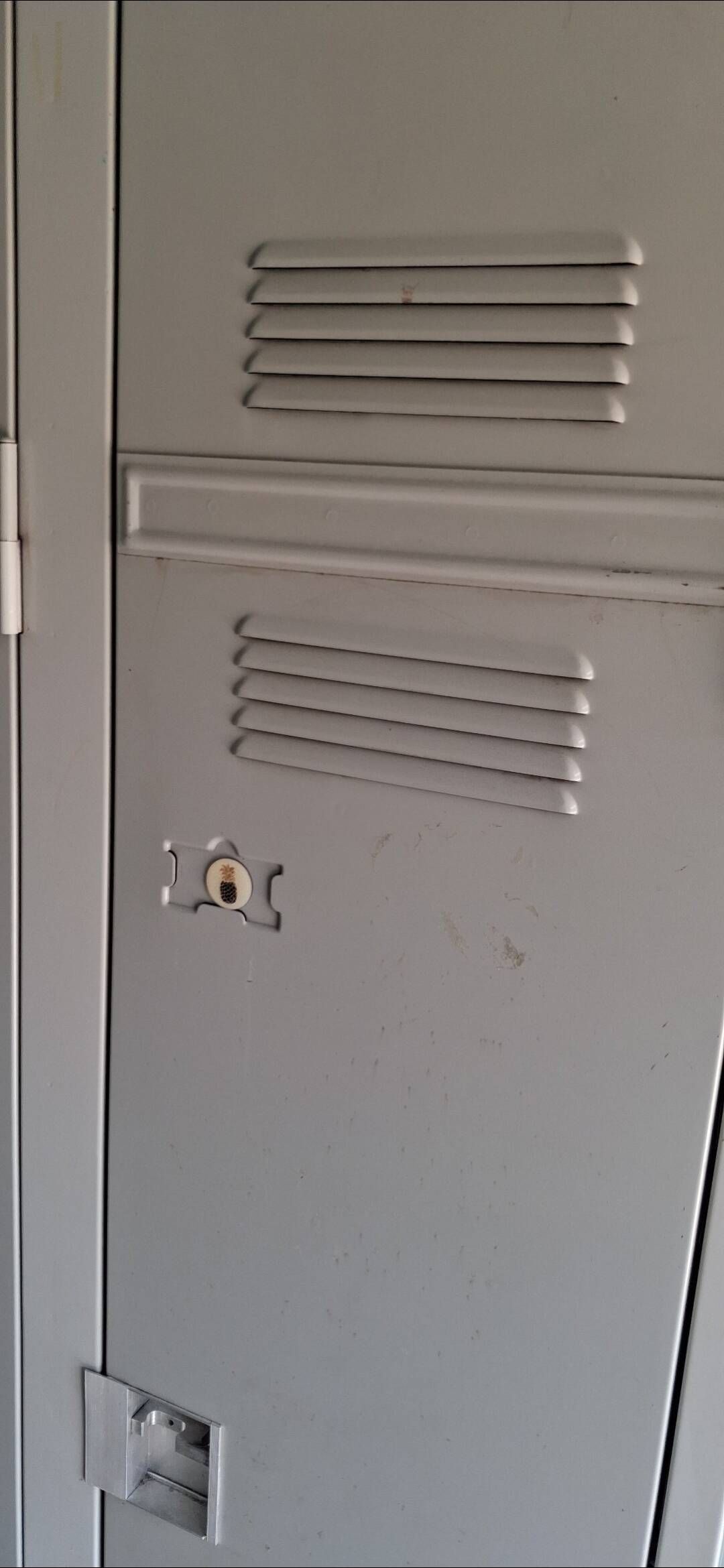 Industrial metal cabinet