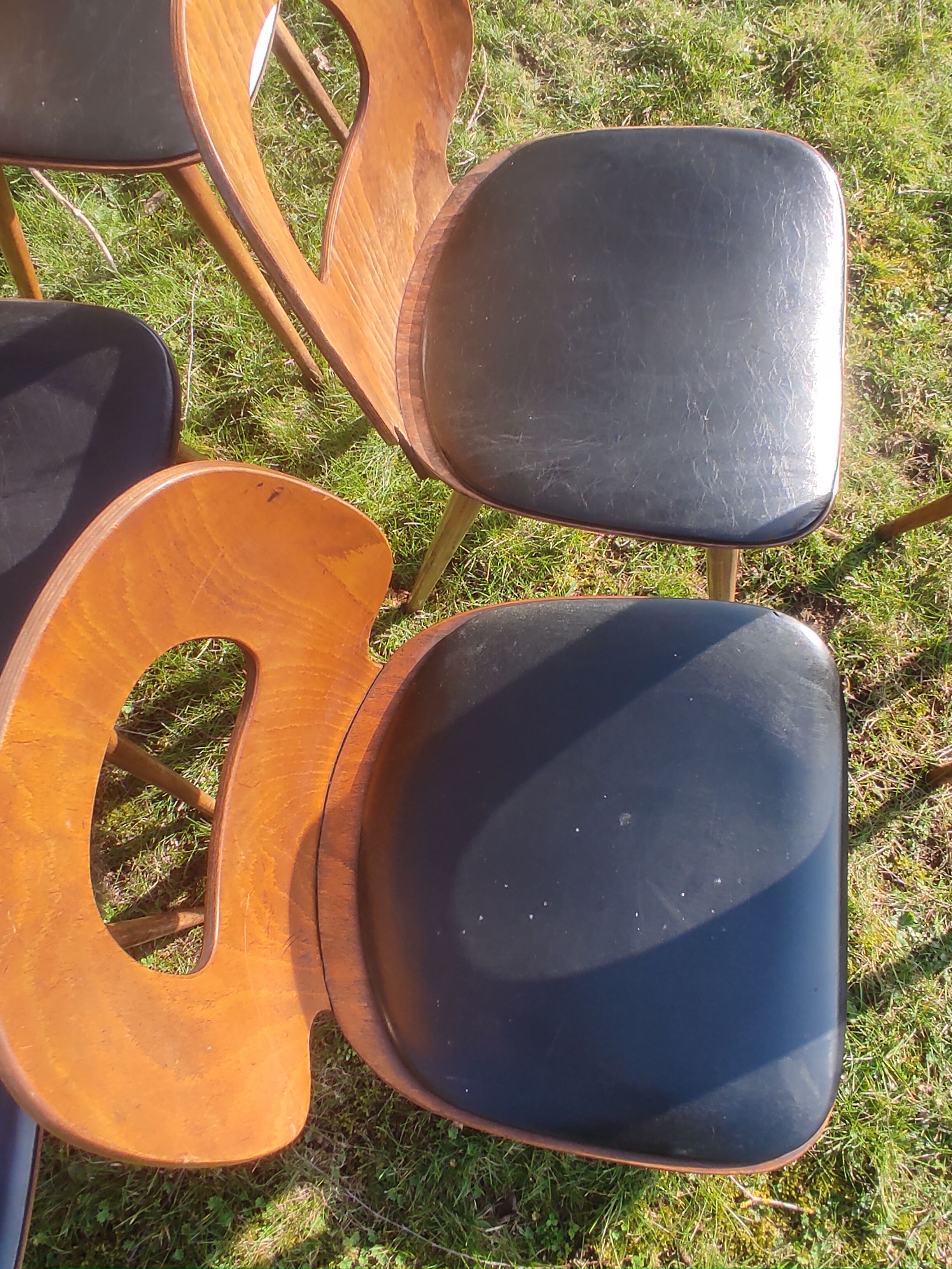 Baumann X6 chairs, Ant model