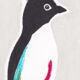Oiseau "Pitta maxima"dessin original