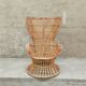 Fauteuil Gio Ponti Lio Carminati Bonacina