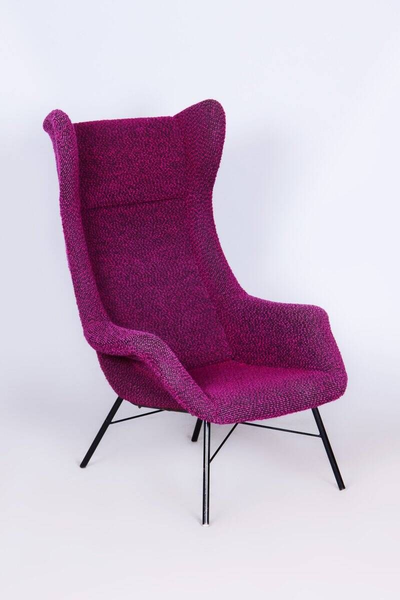 Mid-Century Wingchair in Plastic Fiber from Miroslav Navratil, Czech, 1950s
