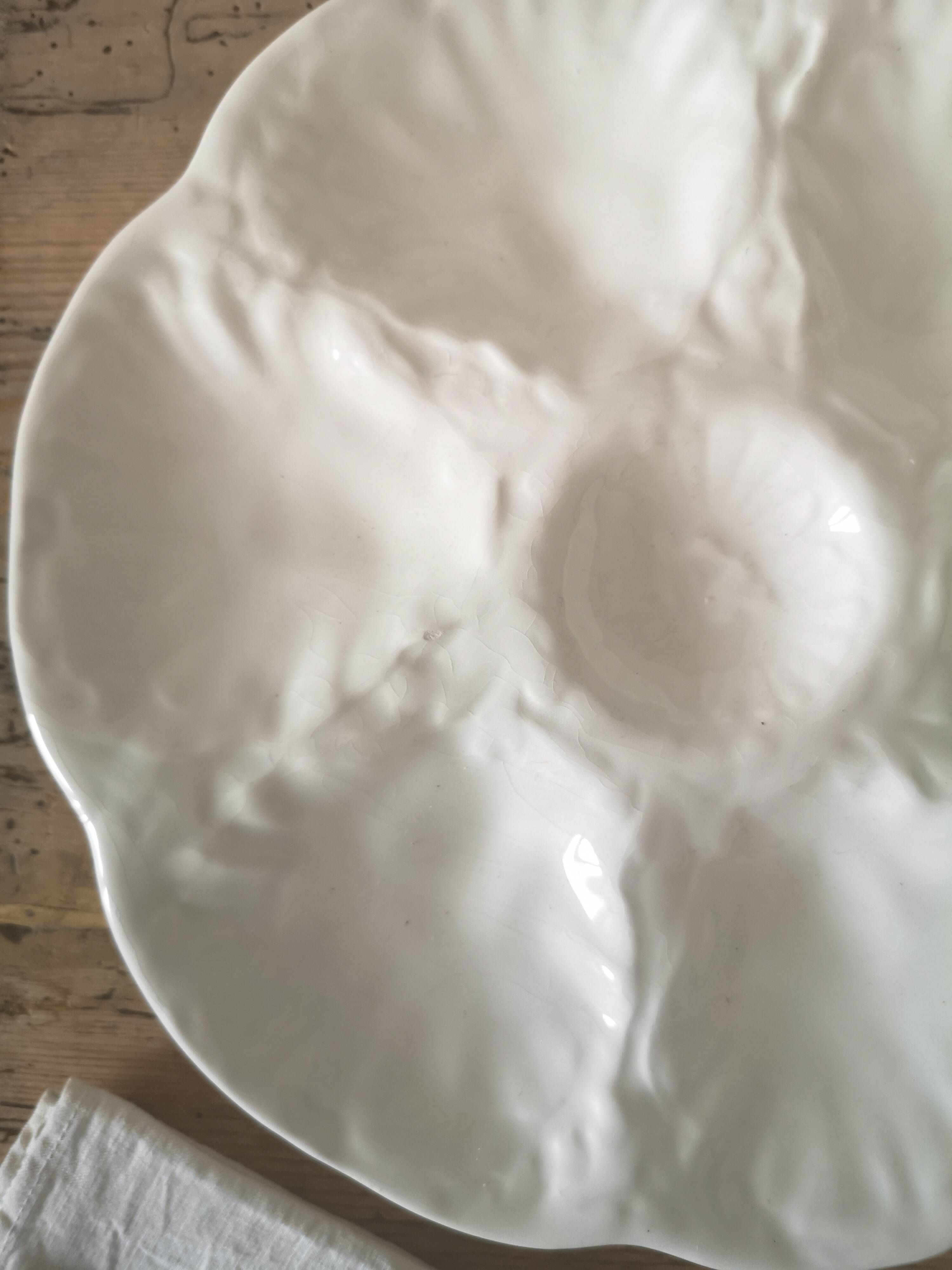 Gien oyster or seashell service party