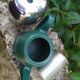 Salam Guy Degrenne Teapot, six cups