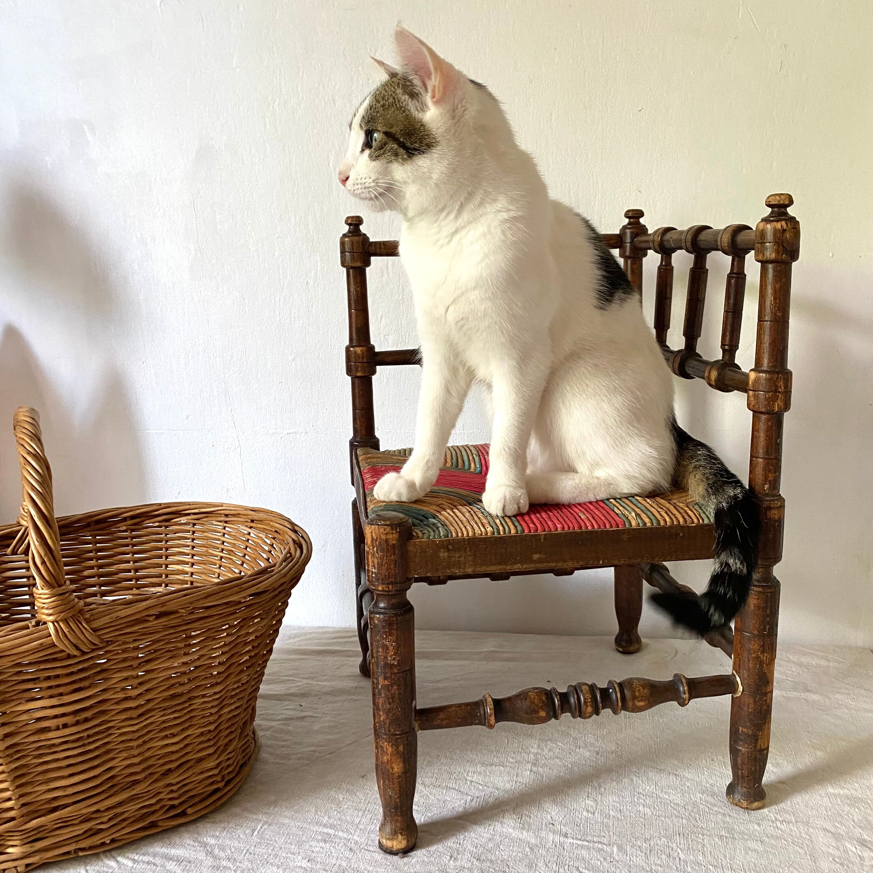 Chaise d'angle en bois tourné et paille pour enfant