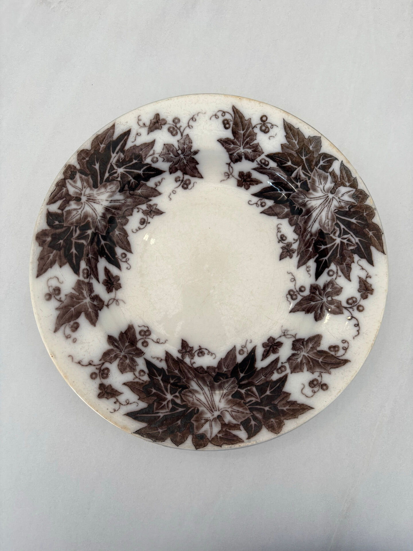 Iron earth plate sepia Sarreguemines model Bryonia - 19th-century earthenware